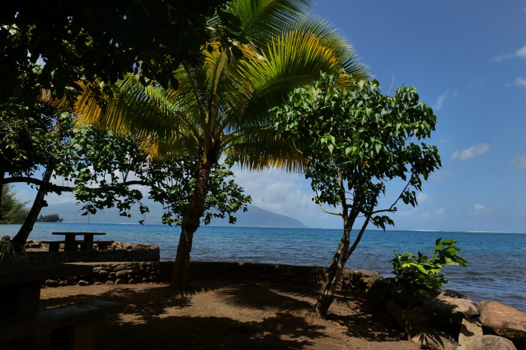 P1034515