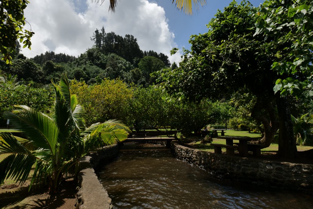 P1034519