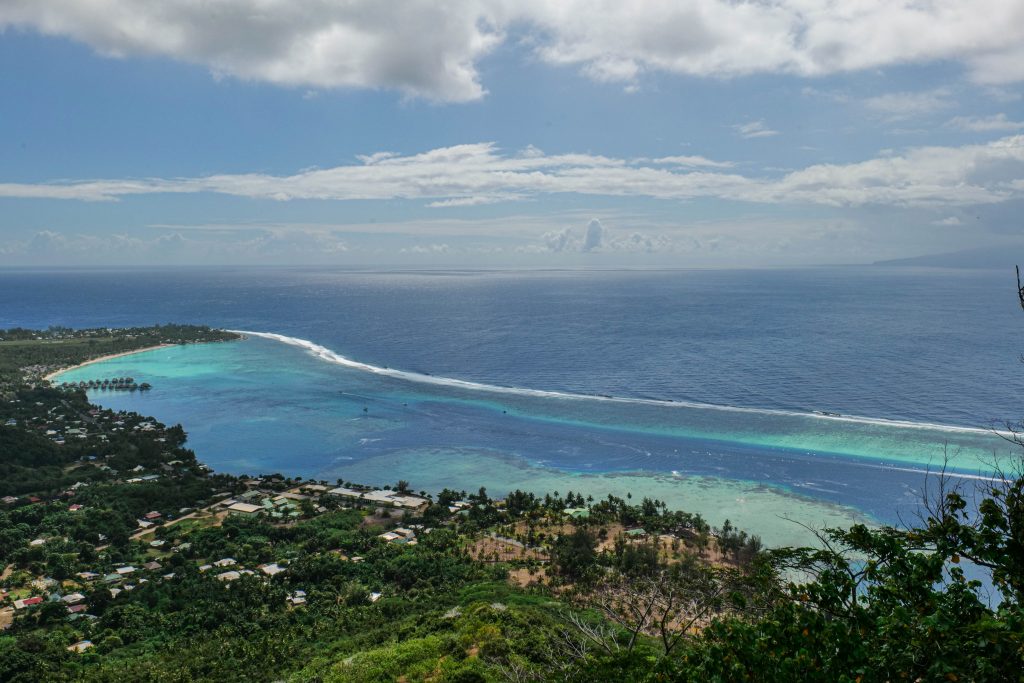 P1045290