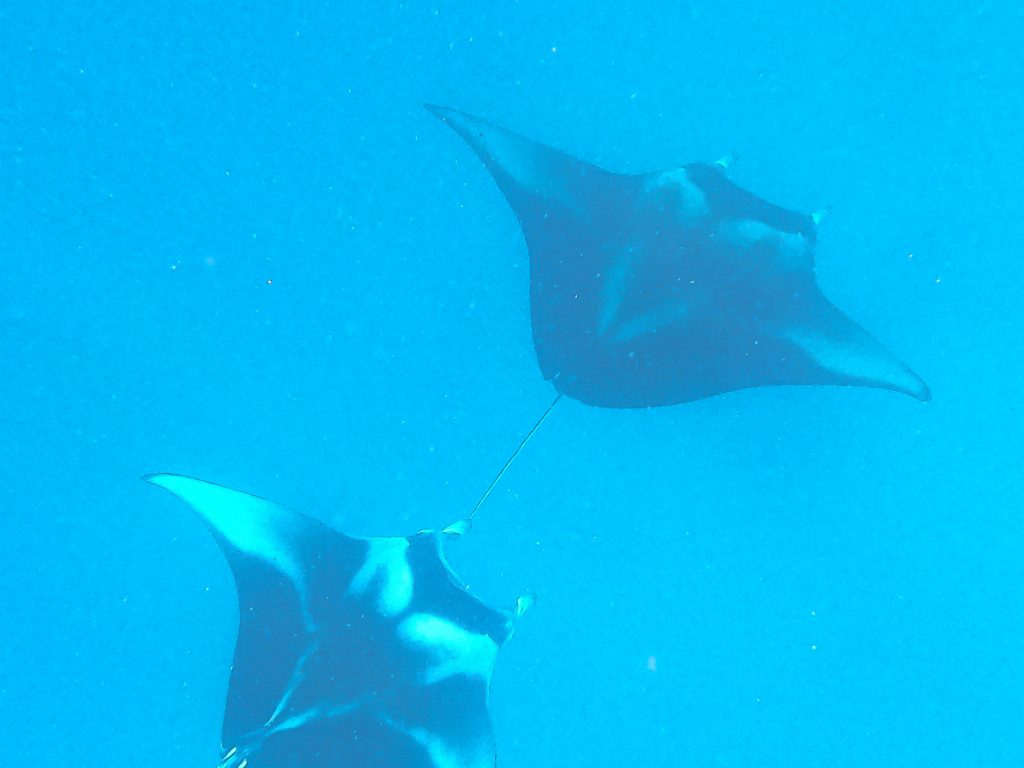 DCIM100GOPROGOPR9167.JPG