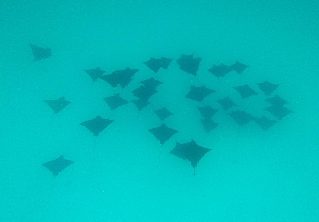 DCIM100GOPROGOPR9208.JPG