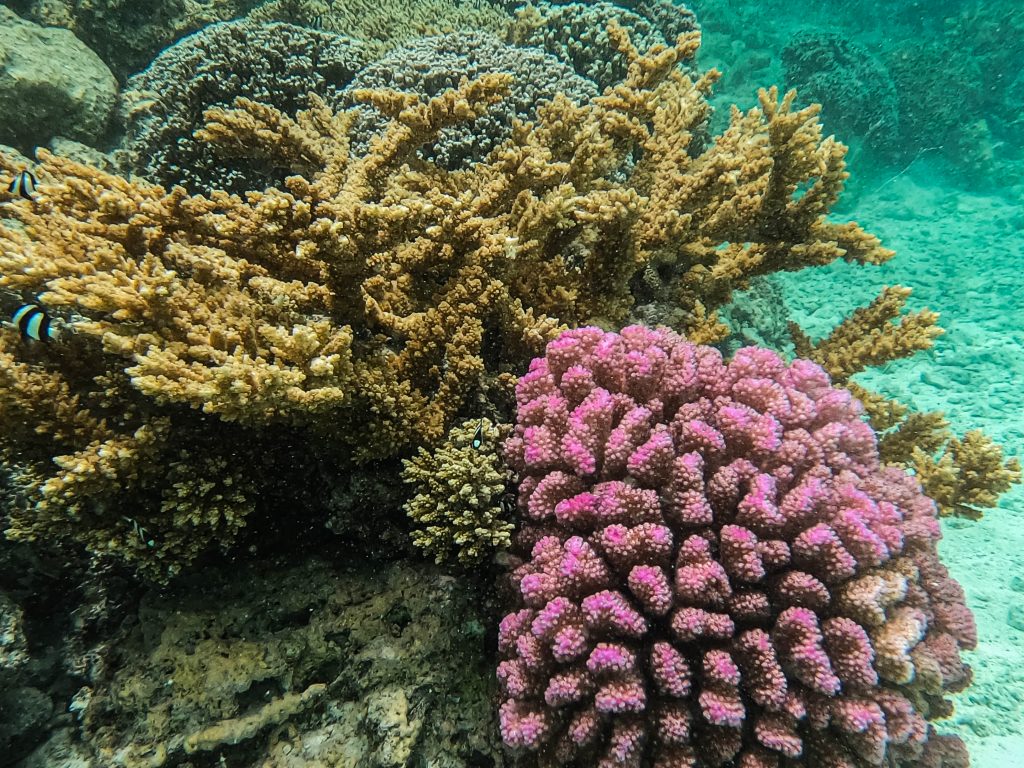 DCIM100GOPROGOPR9276.JPG