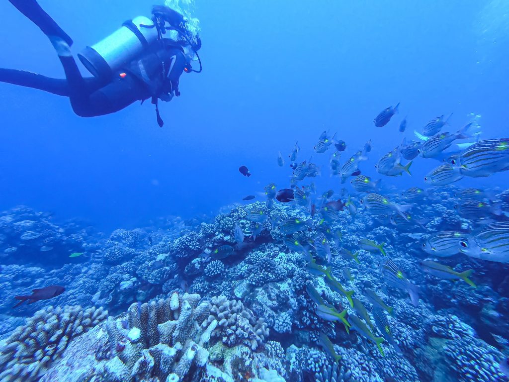 DCIM100GOPROGOPR9427.JPG