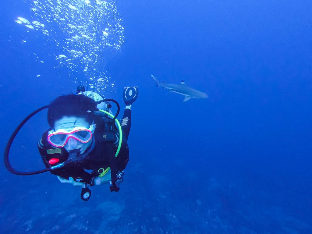 DCIM100GOPROGOPR9463.JPG