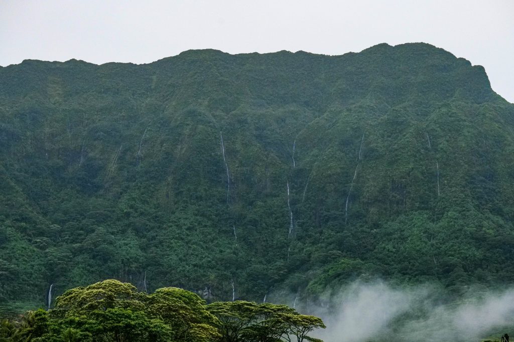 P1056881