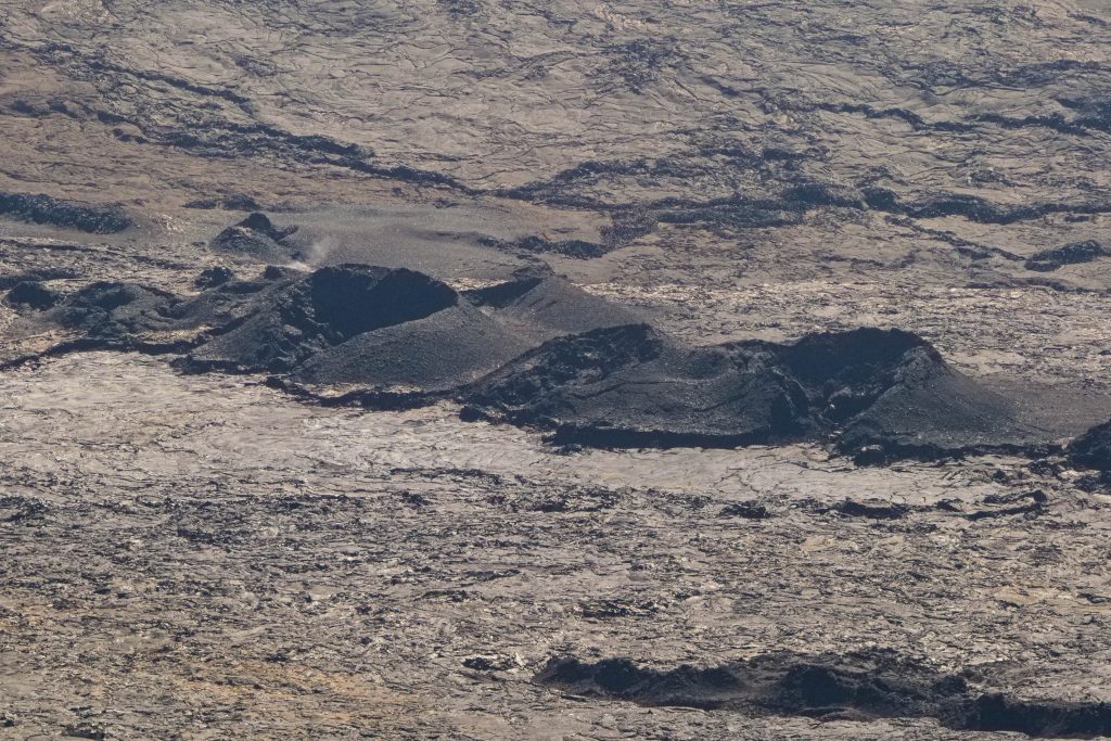 P1127185