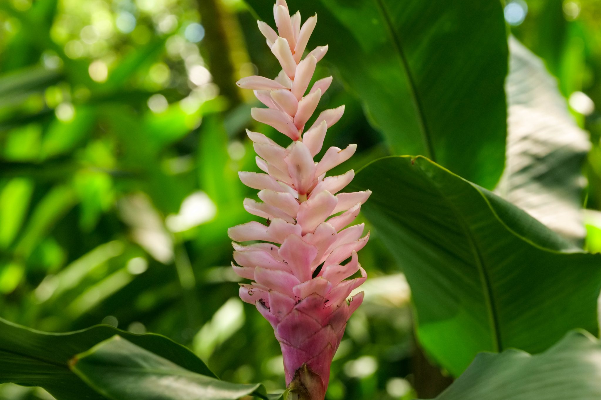 P1127381
